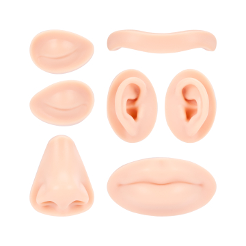 A Pound of Flesh - Utbytbara delar till huvud för tatuering, PMU och piercing - Fitzpatrick ton 2