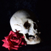 Opium Tattoo Gallery - Skulls and Roses Referensbilder USB av Filip Pasieka