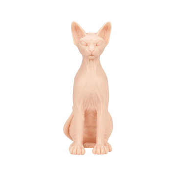 A Pound of Flesh Sphynx Naken katt