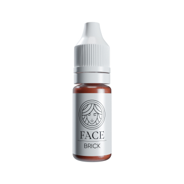 FACE-pigment – Bryn Basic Line Corrector – Brick